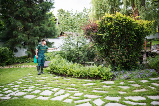 Best Cockroach Control Services  in Oreland, PA